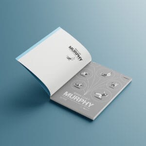 Định Luật Murphy - Khám Phá Năng Lượng Cảm Xúc Tích Cực - Ảnh 4