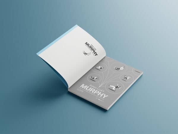 Định Luật Murphy - Khám Phá Năng Lượng Cảm Xúc Tích Cực - Ảnh 4